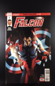 Falcon #1 (2017)