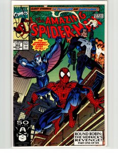 The Amazing Spider-Man #353 (1991) Spider-Man