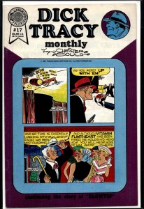 Dick Tracy Monthly/Weekly #17 (1987)