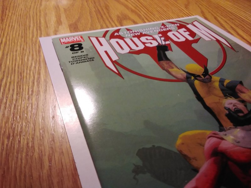 House of M #8 Esad Ribic Cover (2005)