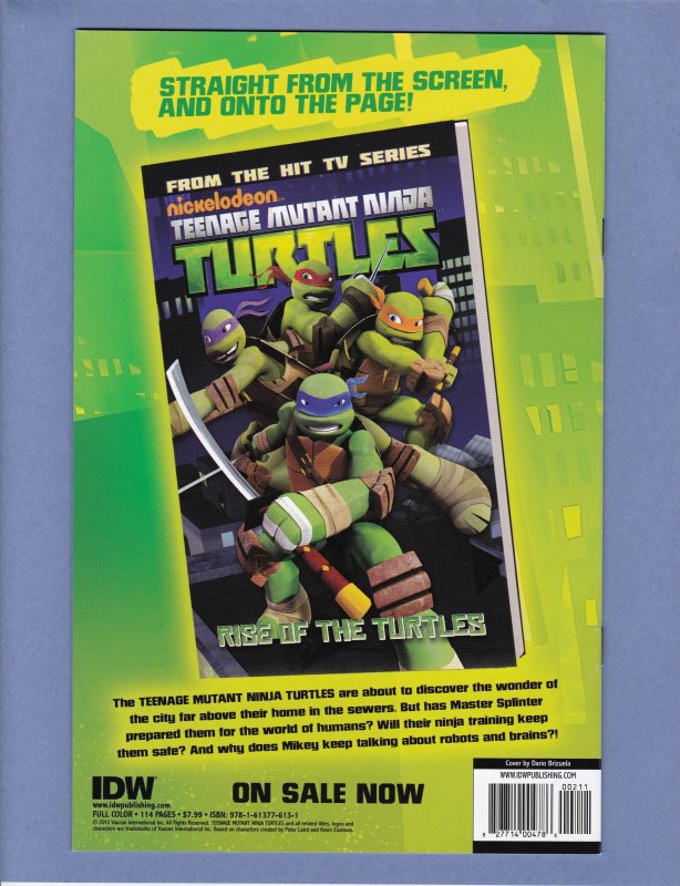 Teenage Mutant Ninja Turtles New Animated Adventures #2 NM