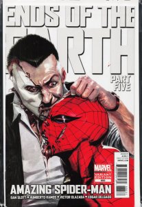 The Amazing Spider-Man #685 Variant Cover (2012)