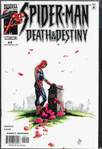 Spider-Man: Death and Destiny #2 (2000) Spider-Man