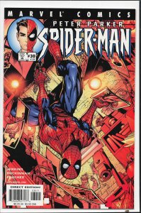 Peter Parker: Spider-Man #30 (2001)