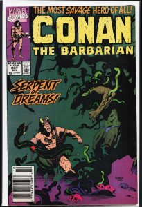 Conan the Barbarian #237 (1990) Conan