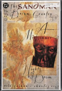 The Sandman #19 (1990) Sandman
