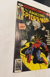 The Amazing Spider-Man #194 (1979)1st Black Cat see descrip