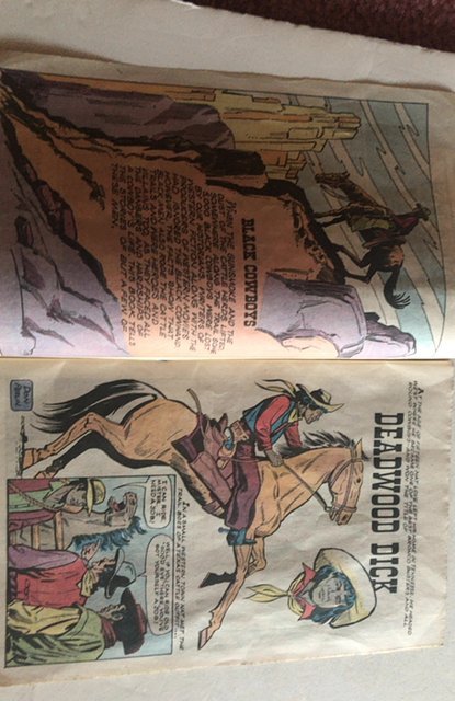 Golden Legacy #12 (1972)Black Cowboys..only one on site!