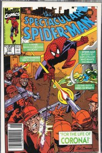 The Spectacular Spider-Man #177 Newsstand Edition (1991) Spider-Man
