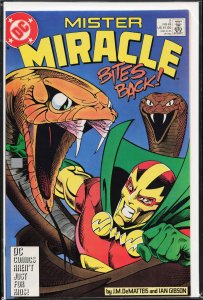 Mister Miracle #2 (1989) Mister Miracle