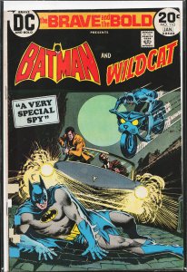 The Brave and the Bold #110 (1974) Wildcat