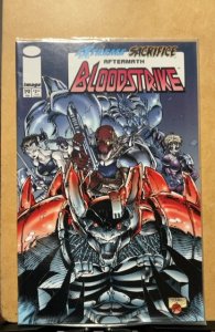 Bloodstrike #19 (1995)