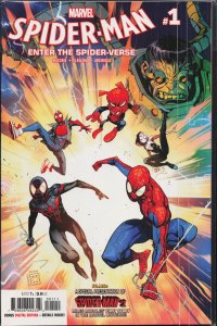 Spider-Man: Enter the Spider-Verse (2019) Spider-Man