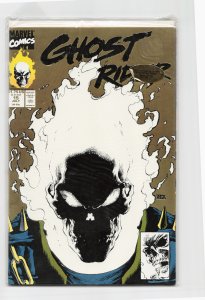 Ghost Rider #15 (1991) Ghost Rider