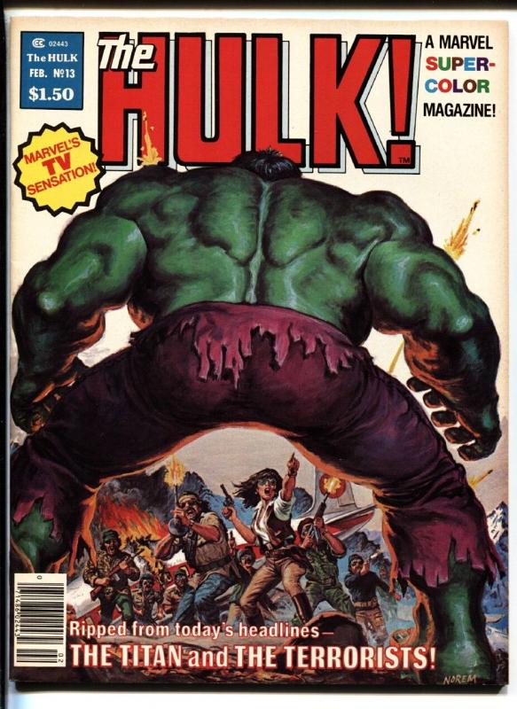 Hulk #13 1ST BILL SIENKIEWICZ story  - MOON KNIGHT 1978 Comic Magazine