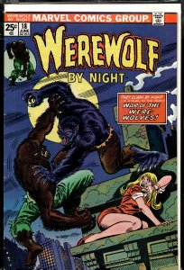 Werewolf by Night #18 (1974) Werewolf by Night