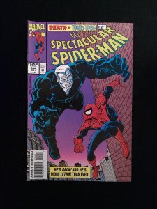 Spectacular Spider-Man #204  Marvel Comics 1993 VF+