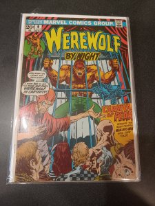 Werewolf by Night #6 (1973)
