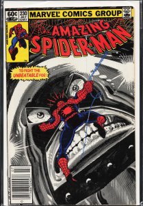 The Amazing Spider-Man #230 (1982) Spider-Man