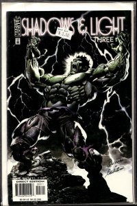 Shadows and Light #3 (1998) Hulk
