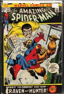 The Amazing Spider-Man #111 (1972) Spider-Man