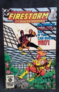 The Fury of Firestorm #28 (1984)