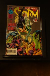 Storm #2 (1996) Storm
