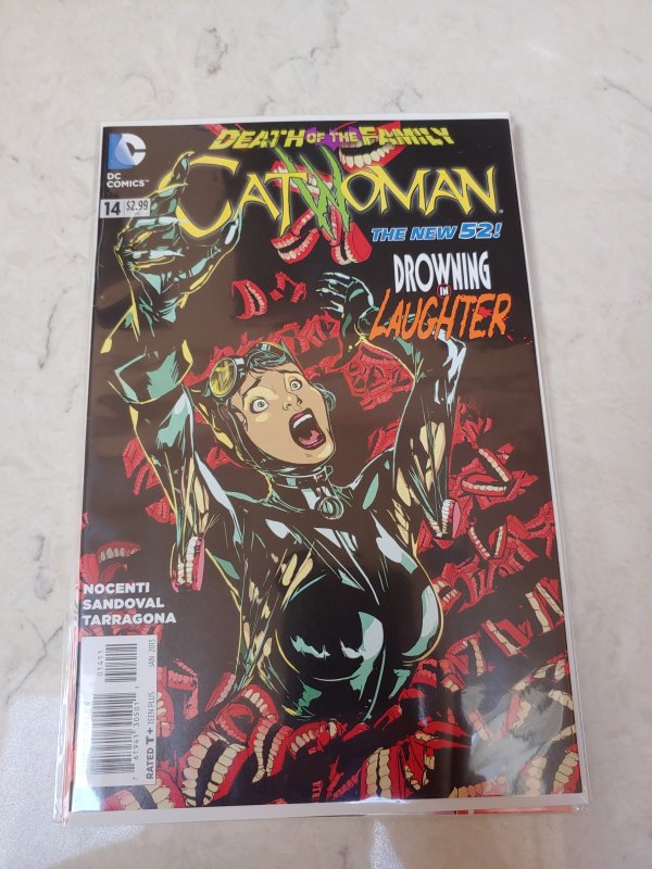 Catwoman #14 Direct Edition (2013)