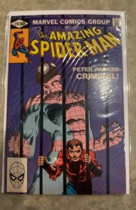 The Amazing Spider-Man #219 (1981) Spider-Man 