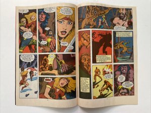 Conan The Barbarian 224