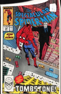 The Spectacular Spider-Man #142 (1988) Spider-Man