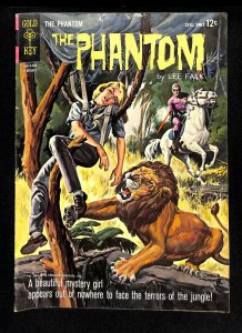 Phantom #6