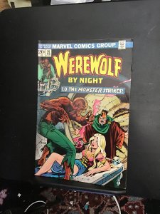 Werewolf by Night #14 (1974) High-grade taboo! VF/NM Wow!