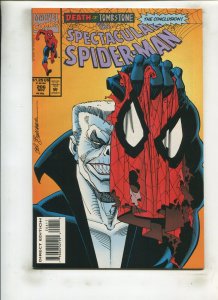 SPECTACULAR SPIDER-MAN #206 (9.0) DEATH BY TOMBSTONE!! 1993