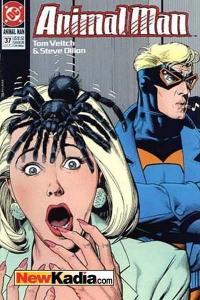 Animal Man (1988 series) #37, VF- (Stock photo)