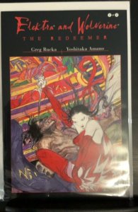 Elektra and Wolverine: The Redeemer #2 (2002)