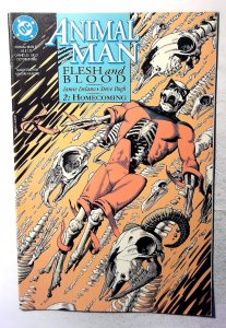 Animal Man #52 (1992) Vertigo Comics 1st Print Comic Book