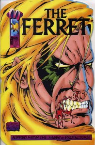 Ferret, The (2nd Series) #1SC VF/NM; Malibu | save on shipping - details inside