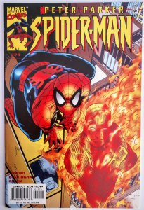 Peter Parker: Spider-Man #21 (NM+, 2000)
