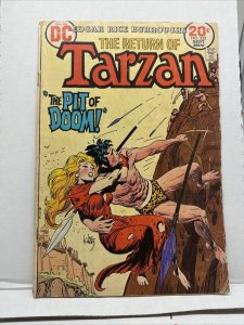 Tarzan #223 DC Comics 1973