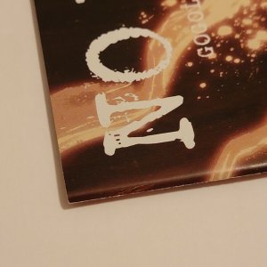 2020 No Heroine Frank Gogol Ben Templesmith punk Vampires NM