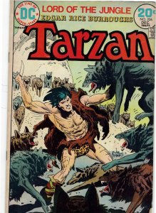 Tarzan #226 DC Comics Joe Kubert FN+