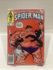 peter parker the spectacular spiderman 91