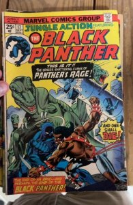 Jungle Action #17 (1975) Black Panther 