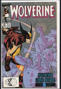Wolverine #16 (1989) Wolverine