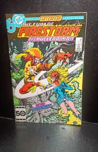 The Fury of Firestorm #41 (1985)