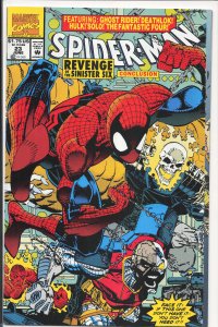 Spider-Man #23 (1992) Spider-Man