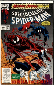 The Spectacular Spider-Man #201 (1993) Spider-Man