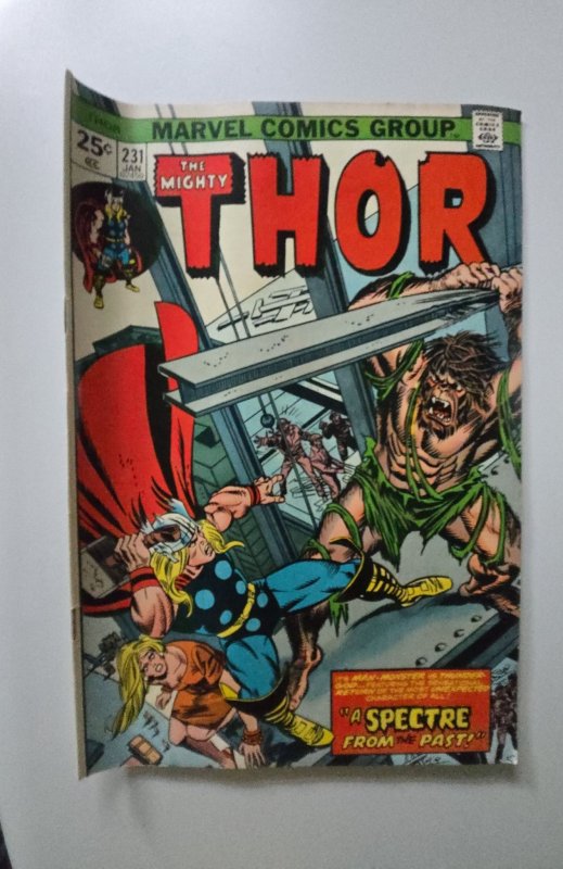 Thor #231 (1975)