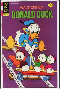 Donald Duck #162 (1975)